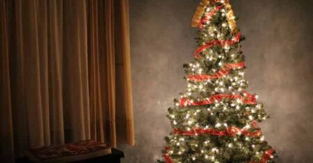 Crente Pode ter Árvore de Natal em Casa?