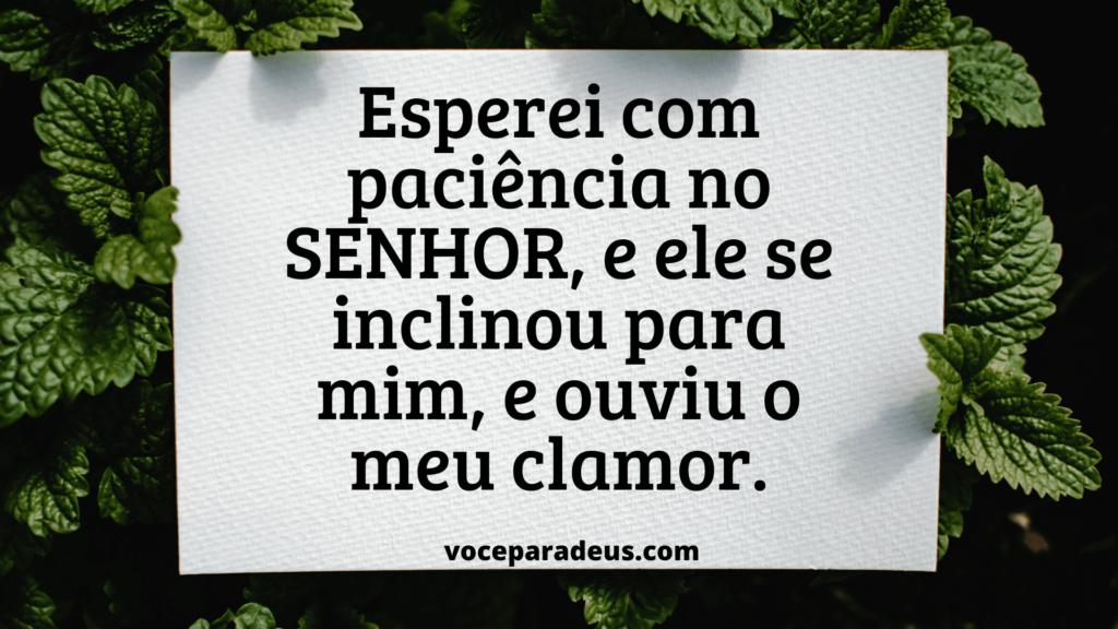 Estudo Bíblico Sobre o Salmo 40