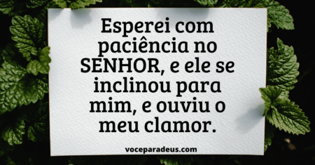 Estudo Bíblico Sobre o Salmo 40 – Versículo por Versículo